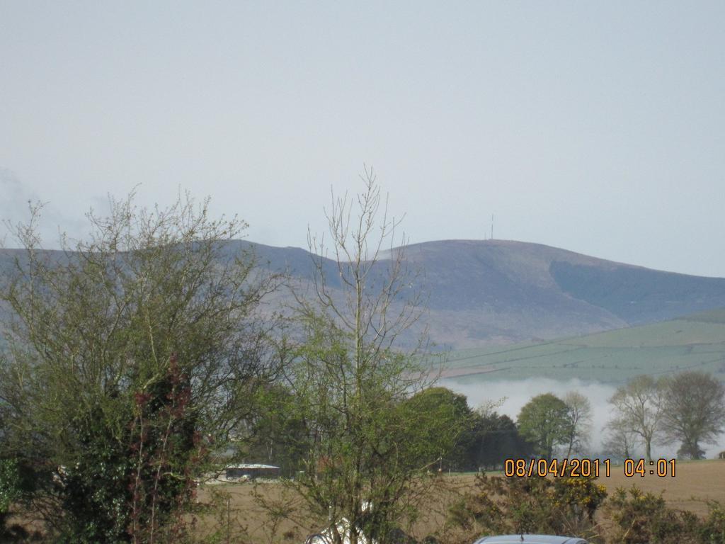 Mount Leinster View Сasa de vacaciones