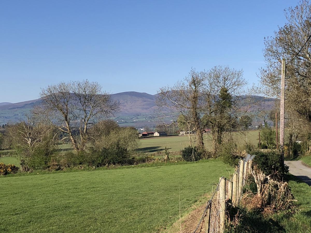 Mount Leinster View